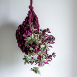 Chunky yarn hanging plant basket by Plump & Co