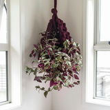 Chunky yarn hanging plant basket by Plump & Co